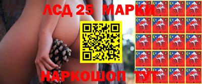 крисы Лесосибирск